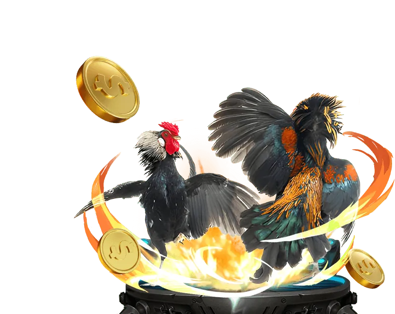 Sân đấu đá gà trực tiếp 8qbet